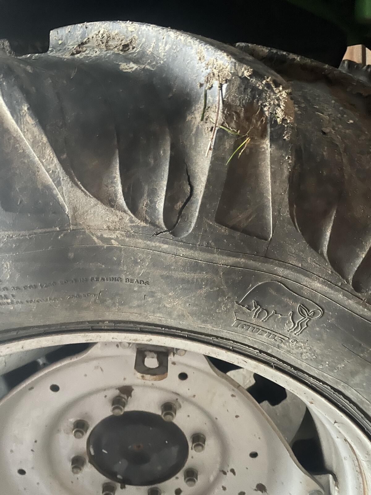 Traktorreifen Taurus 1