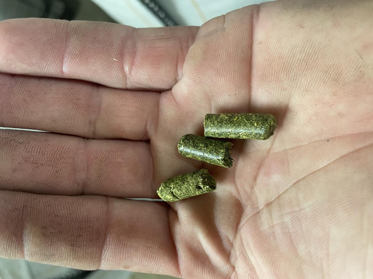 Heu-Luzerne-Pellets 2