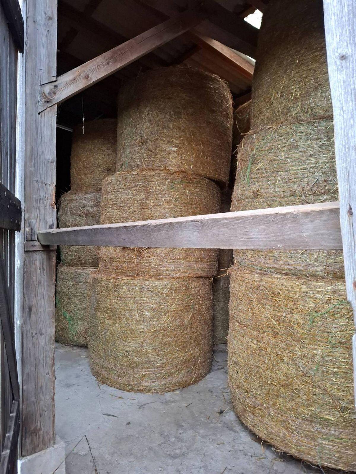 Stroh 1,5 m Rundballen 1