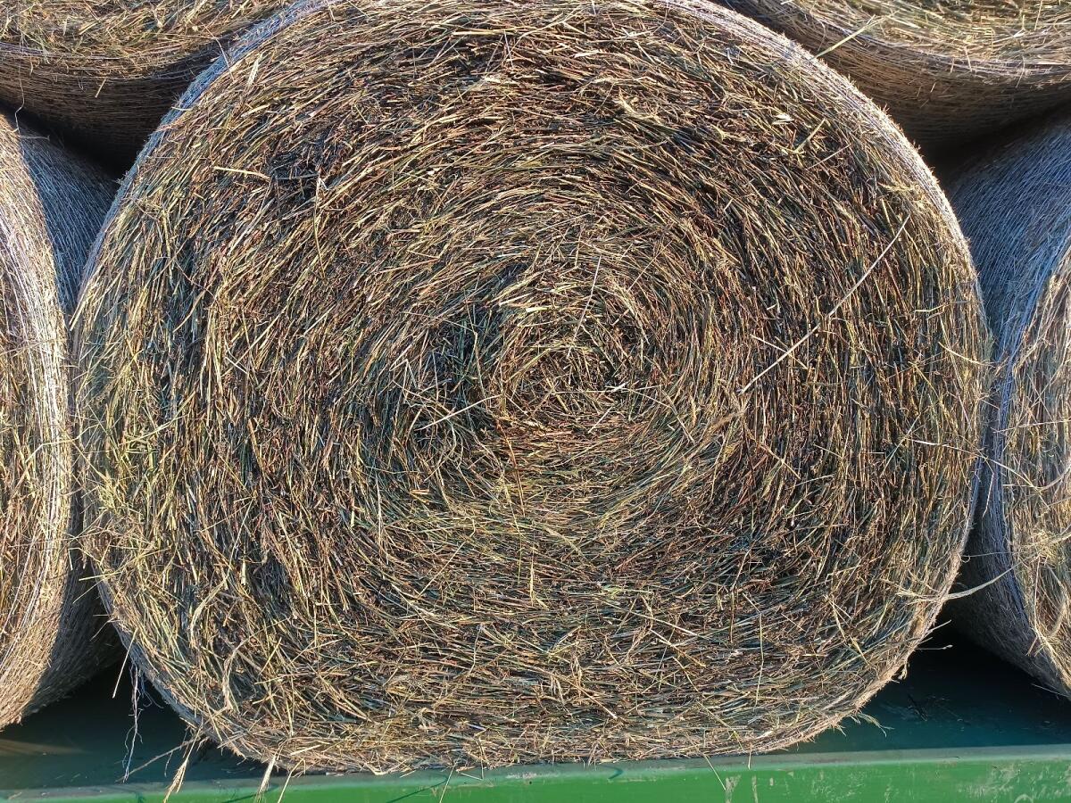 Bio Klee-Heu, Luzerne-Heu, Wiesen-Heu, Waldviertel 3