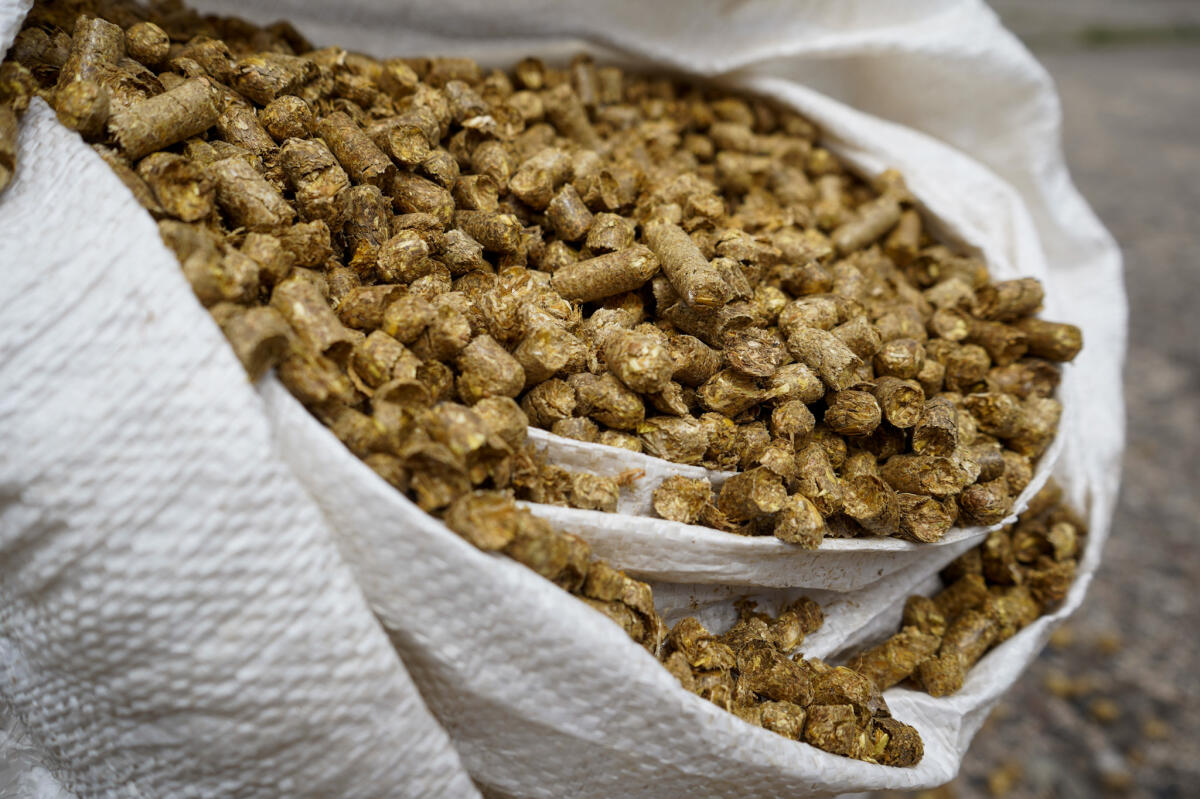 Strohpellets zum Einstreuen 1