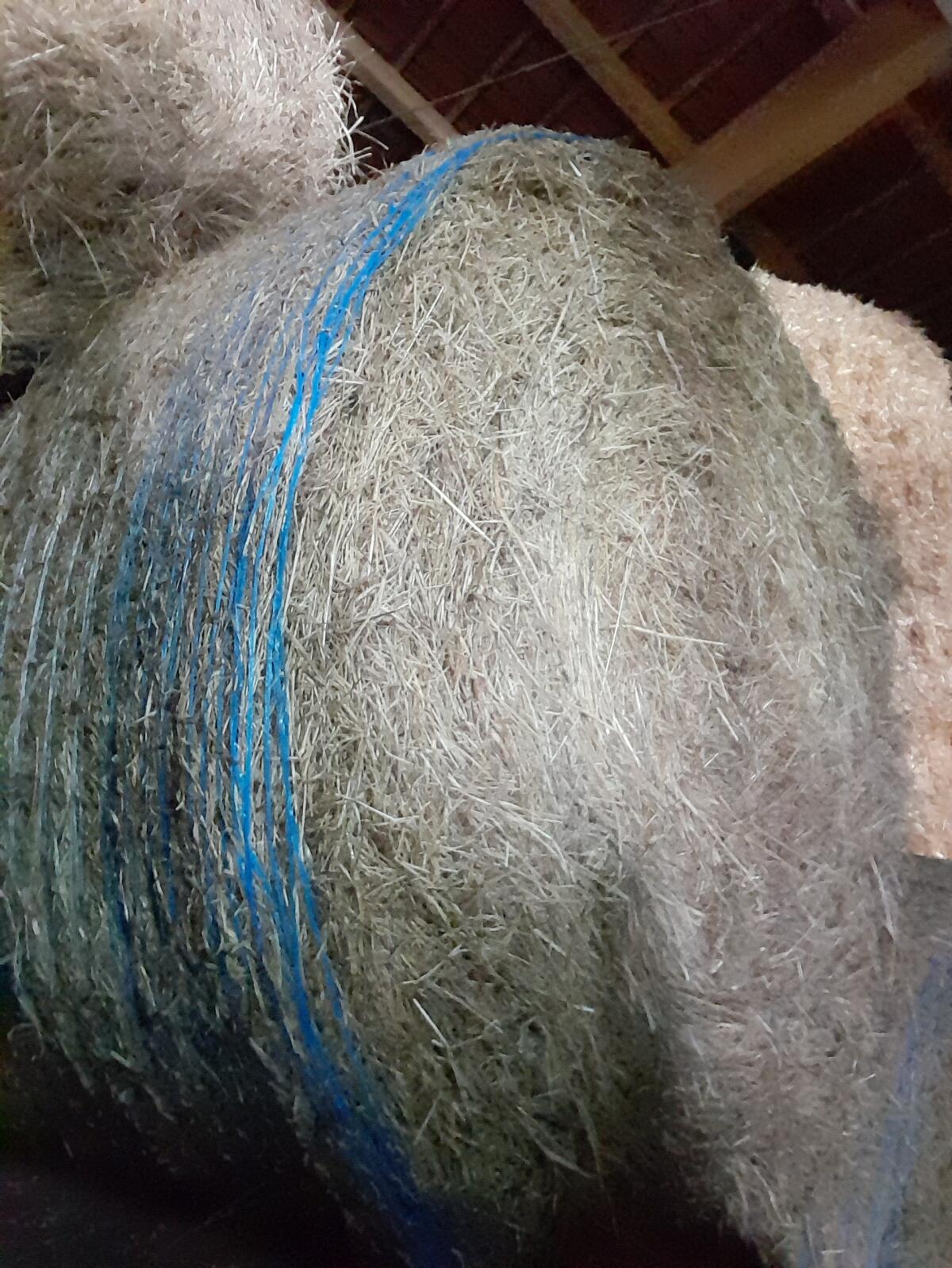 BIO Heubinkel, 2. Schnitt 130 cm 2