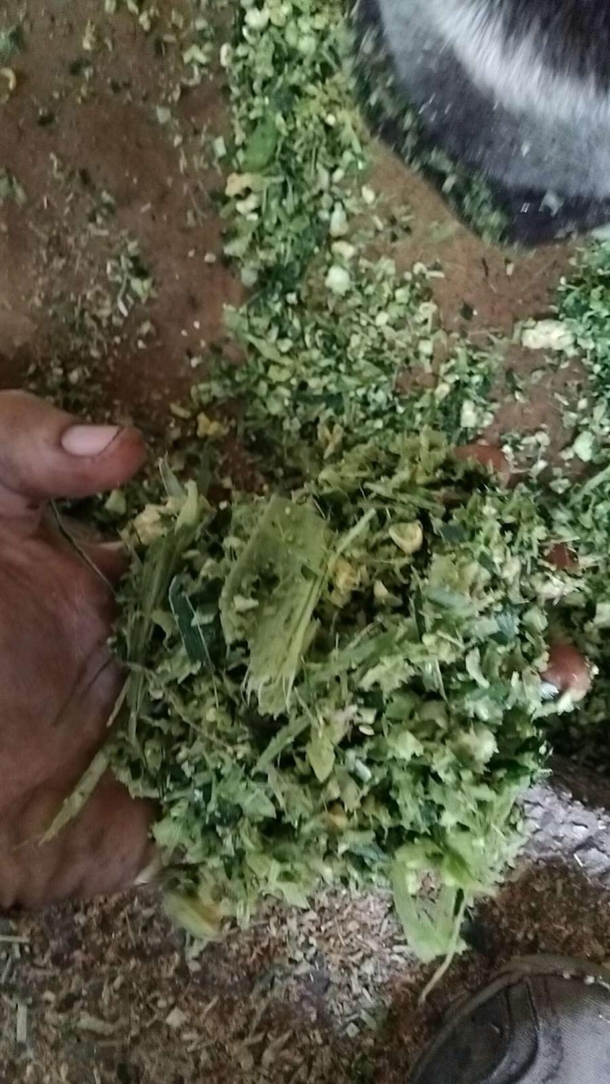 PZ MH 80 Häcksler 2