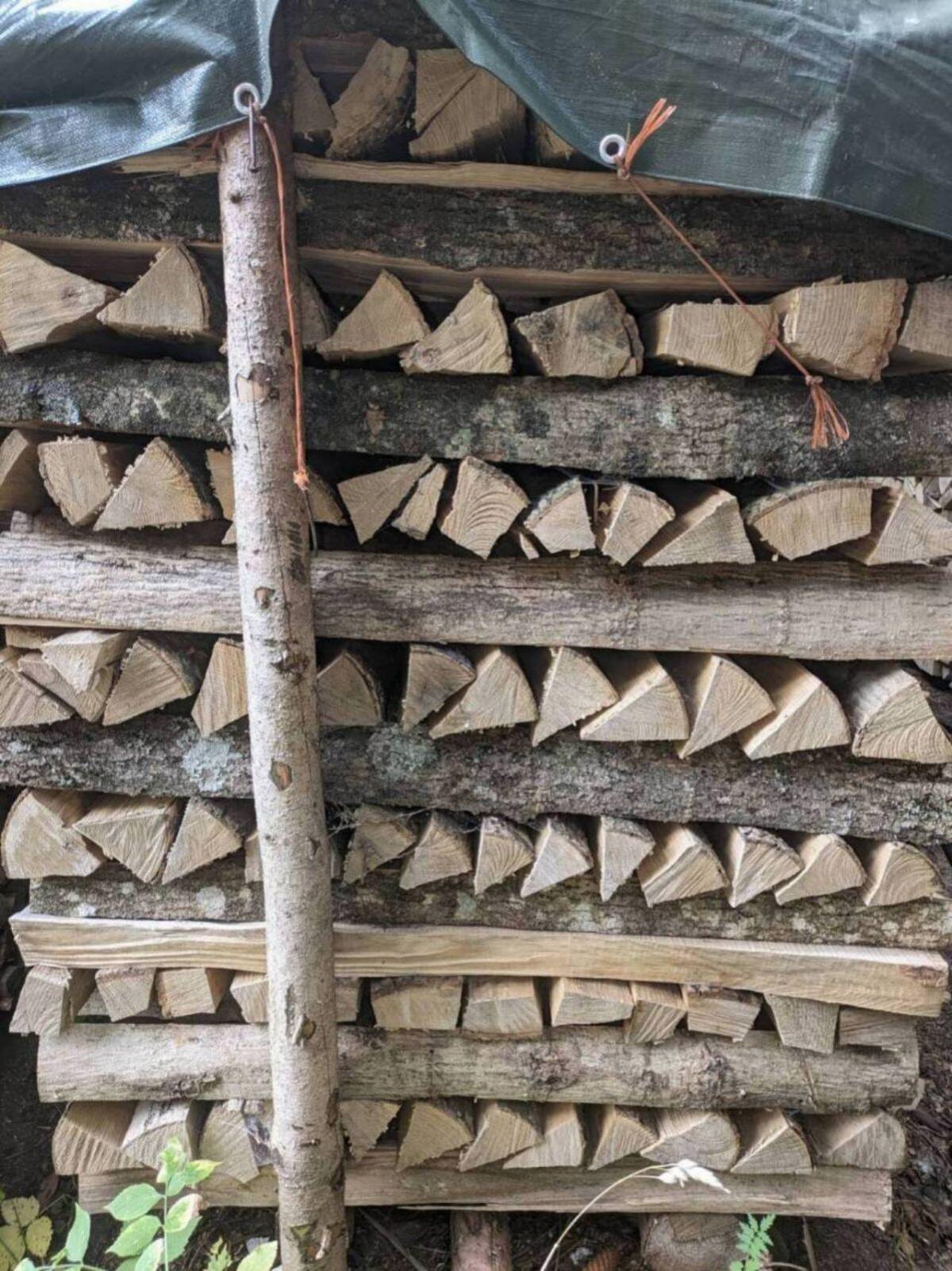 Brennholz, Kaminholz, Hartholz, Esche 3