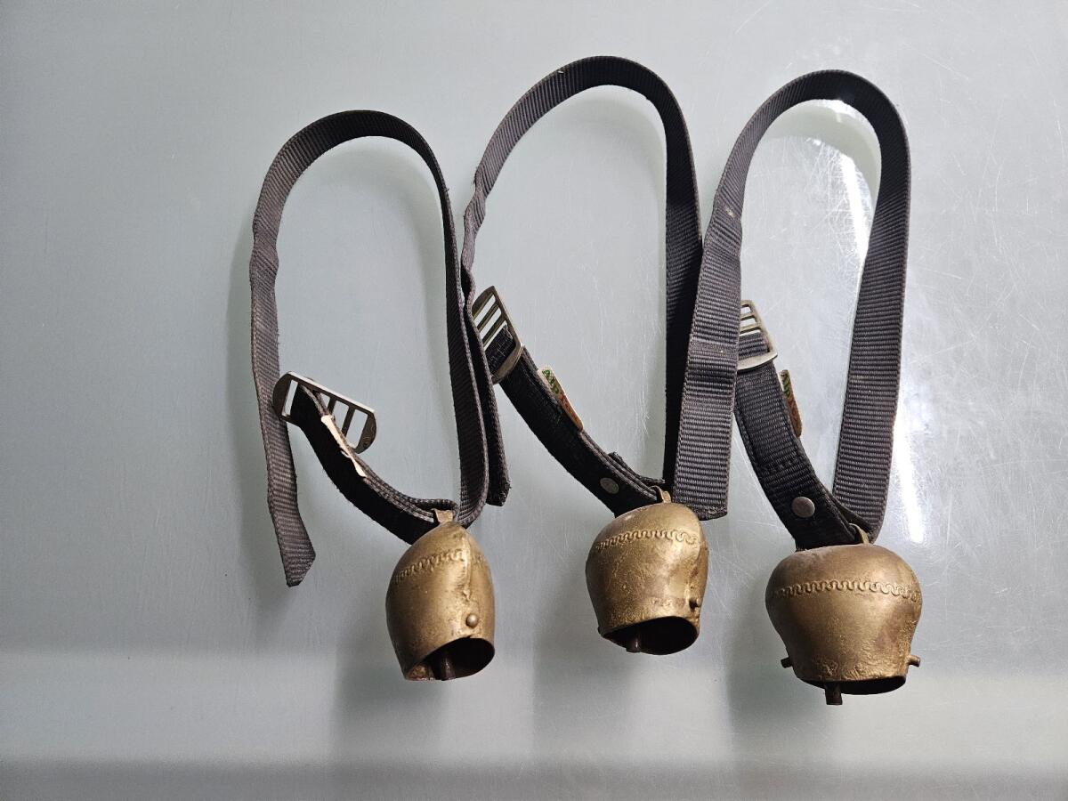 Schellen zu verkaufen 2