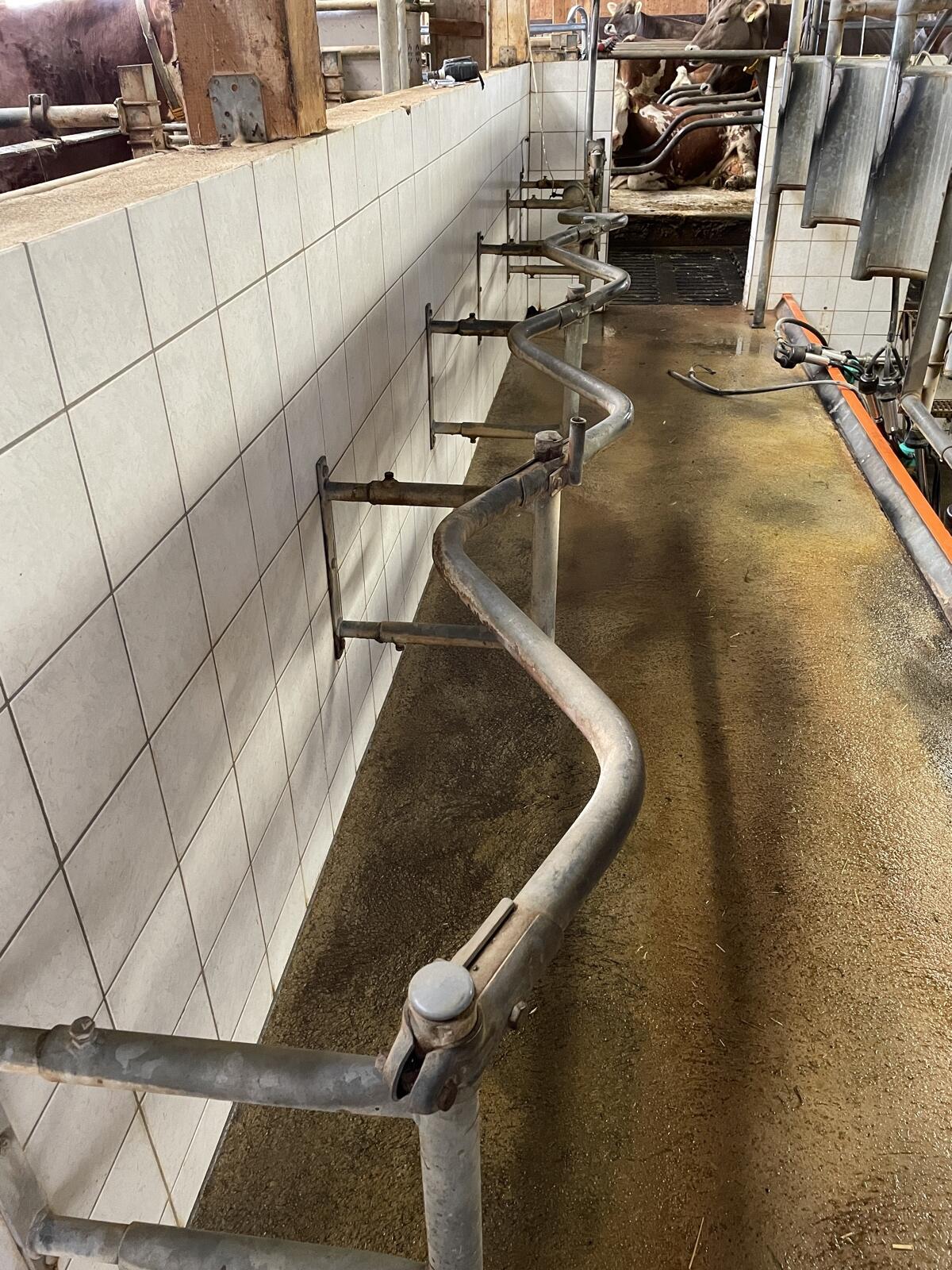 Melkstand Fischgräten 2x3 Happel DeLaval Westfalia Gea 3