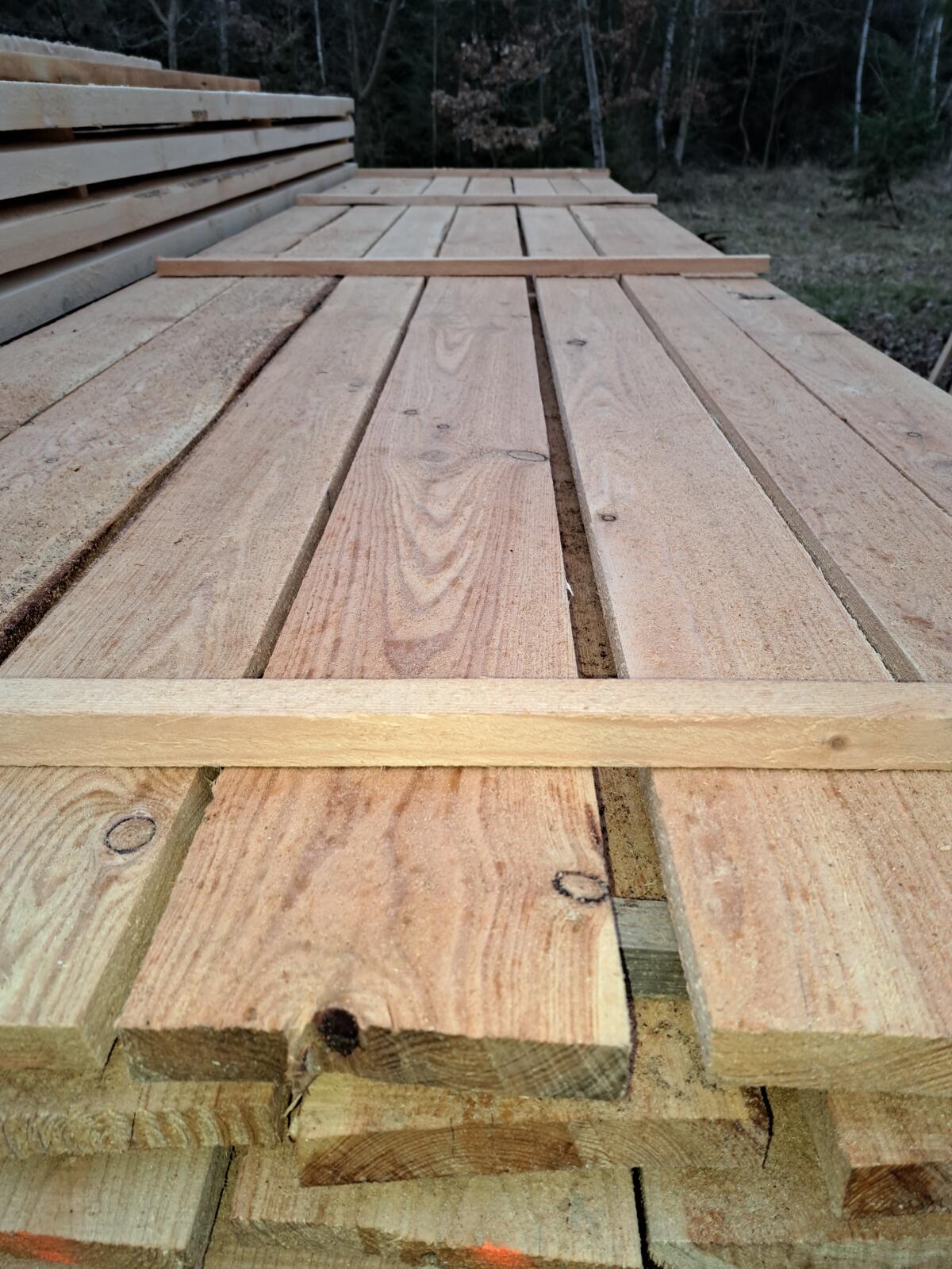 Schnittholz Lärche 1