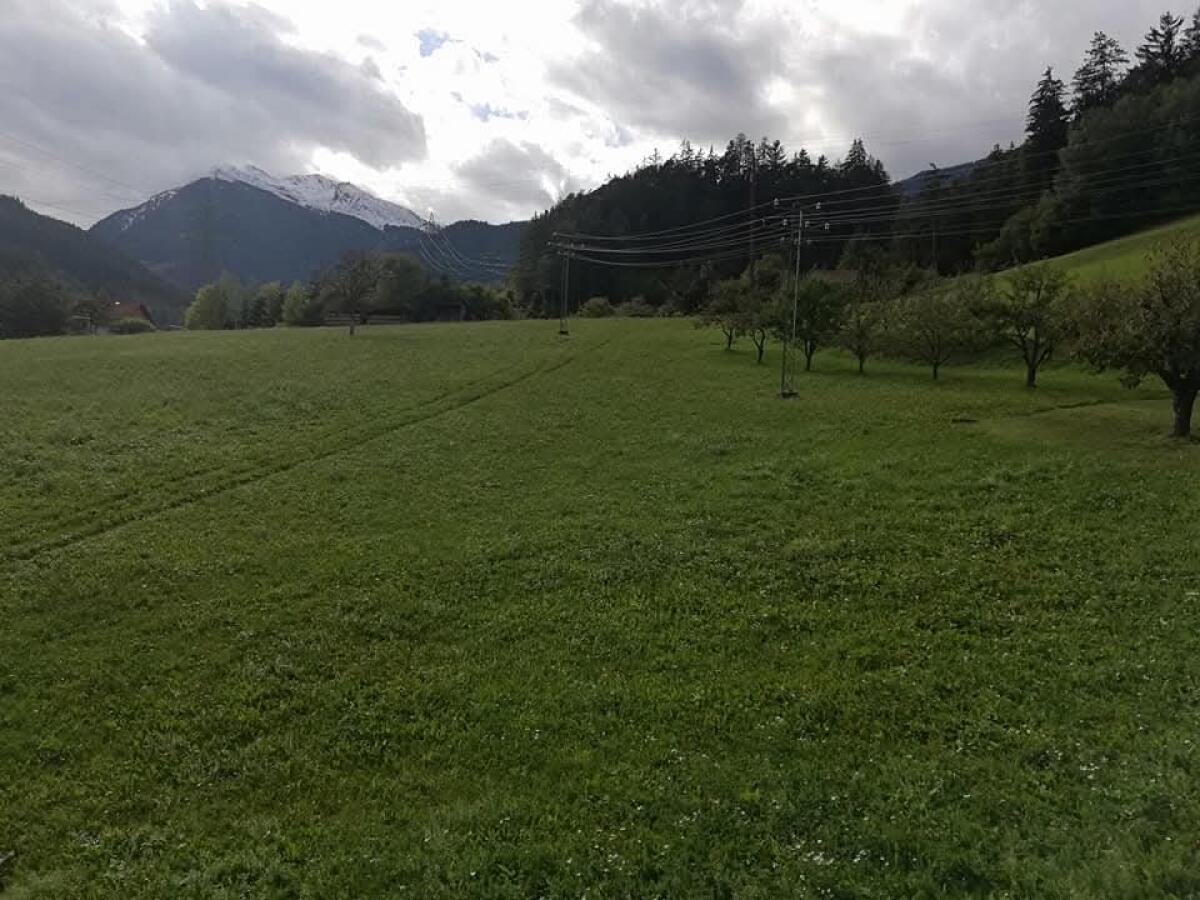 Pferde - Einstellplätze 3