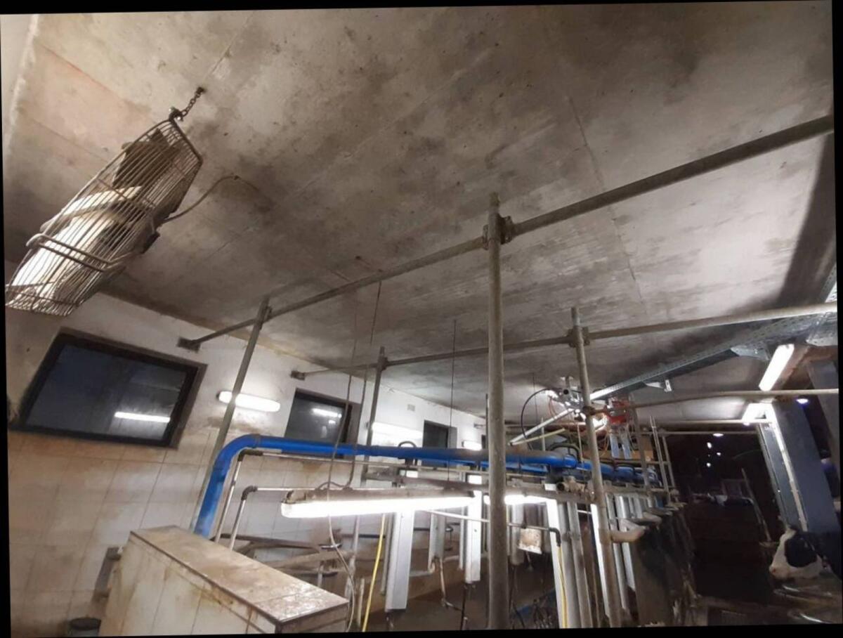 Melkstand DeLaval 2x5 1