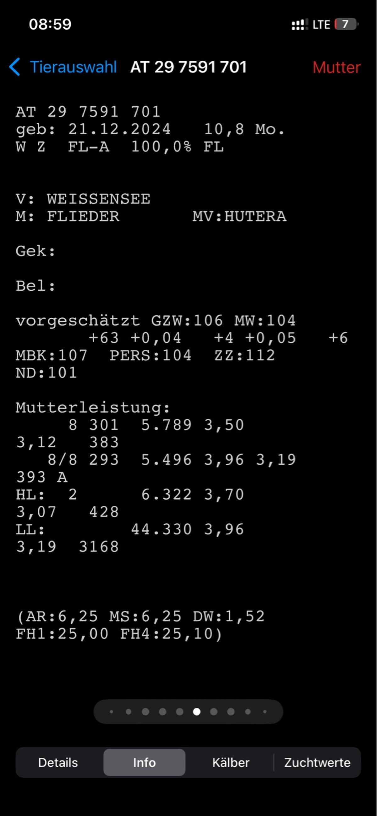 2 weibl. Kälber zu verkaufen 2