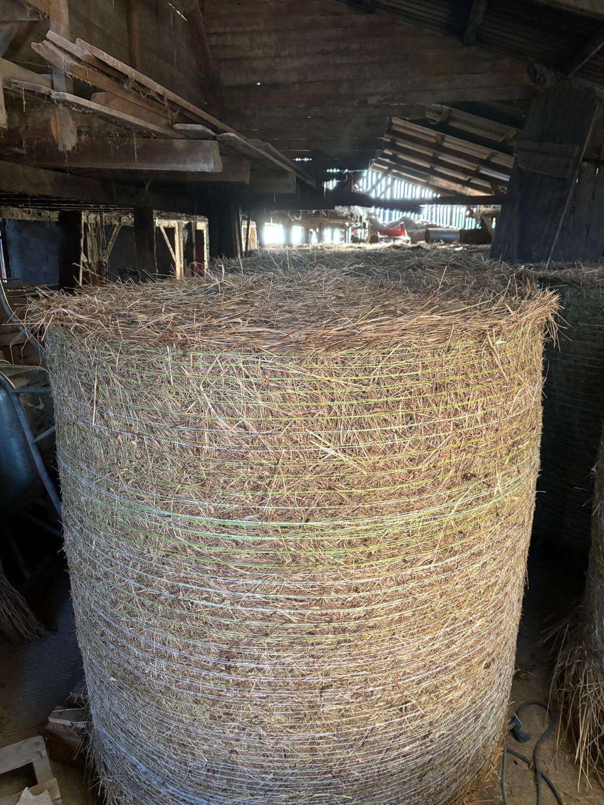 Heuballen zu verkaufen 1