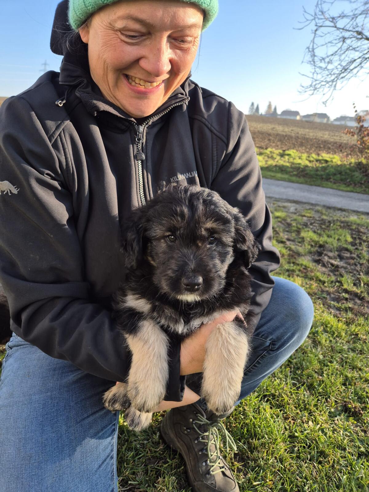 Welpen Border Bearded Collie Mix 3