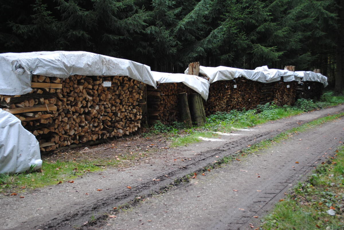 Brennholz 1