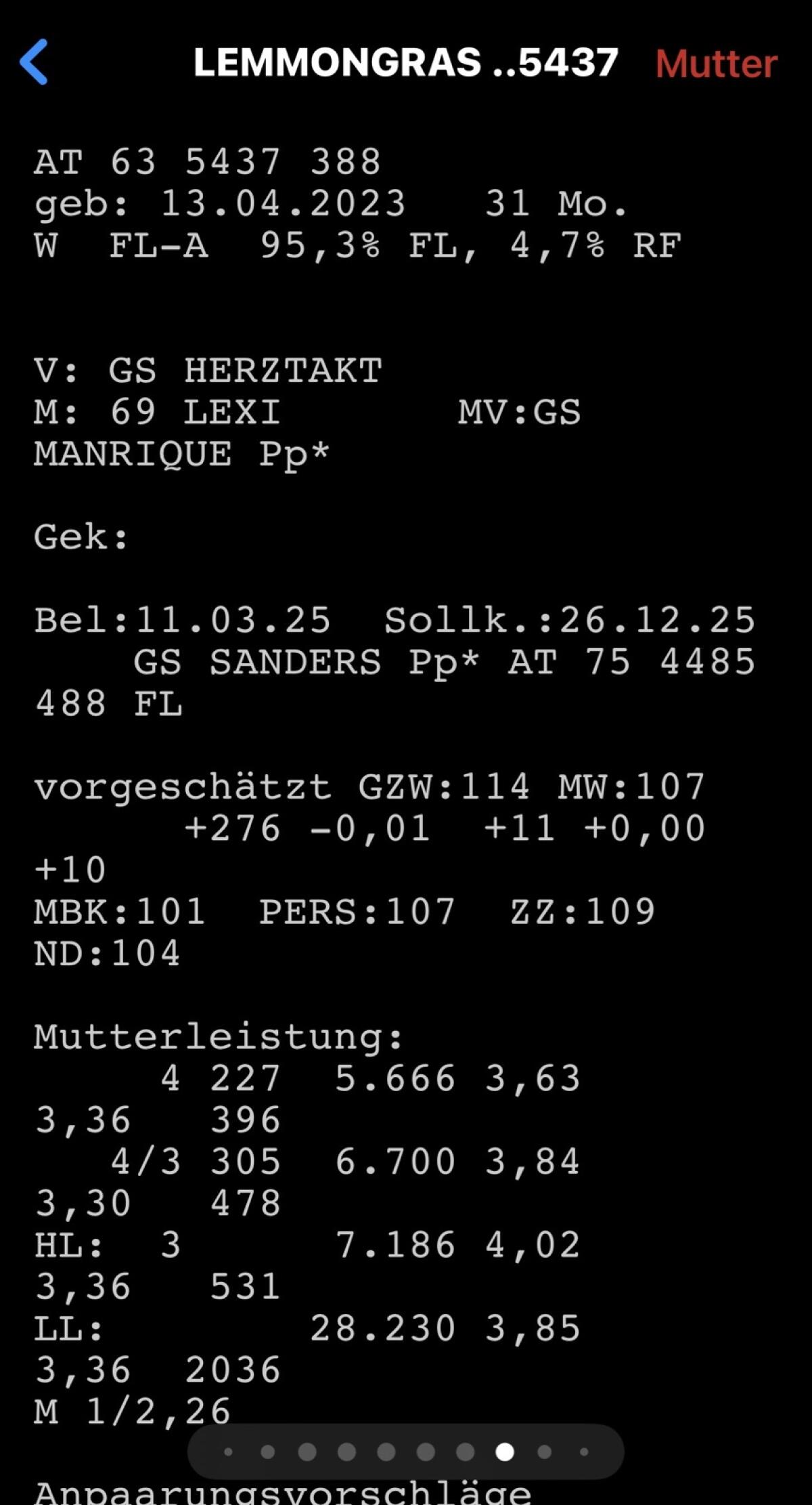 Trächtige Bio-Fleckvieh Zuchtkalbin 3