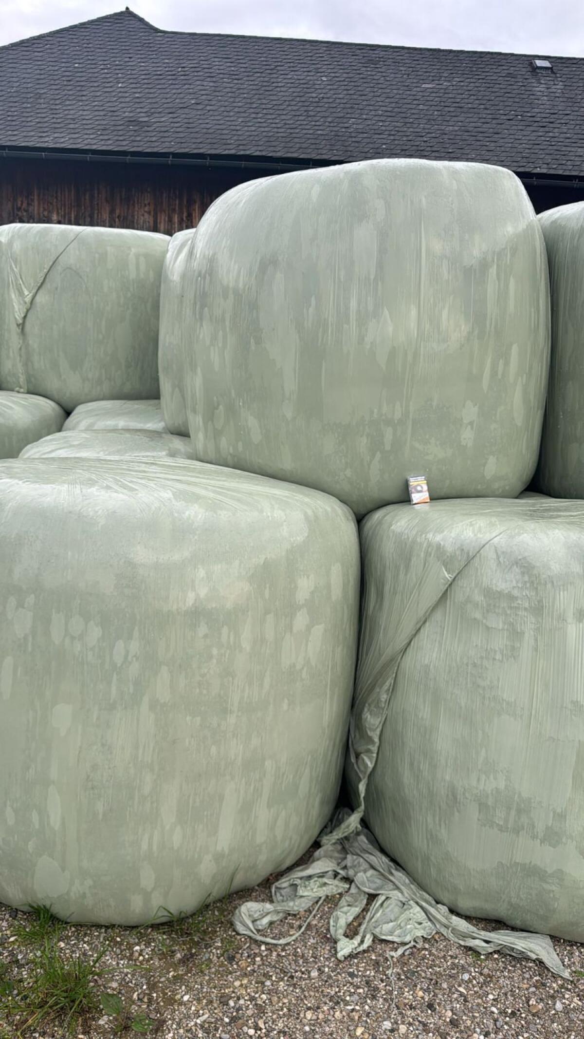 Silageballen Rundballen 1