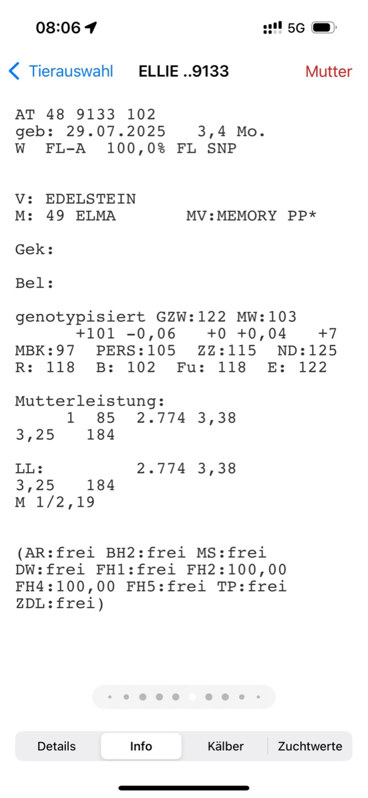 Bio Fleckvieh Kälber 1