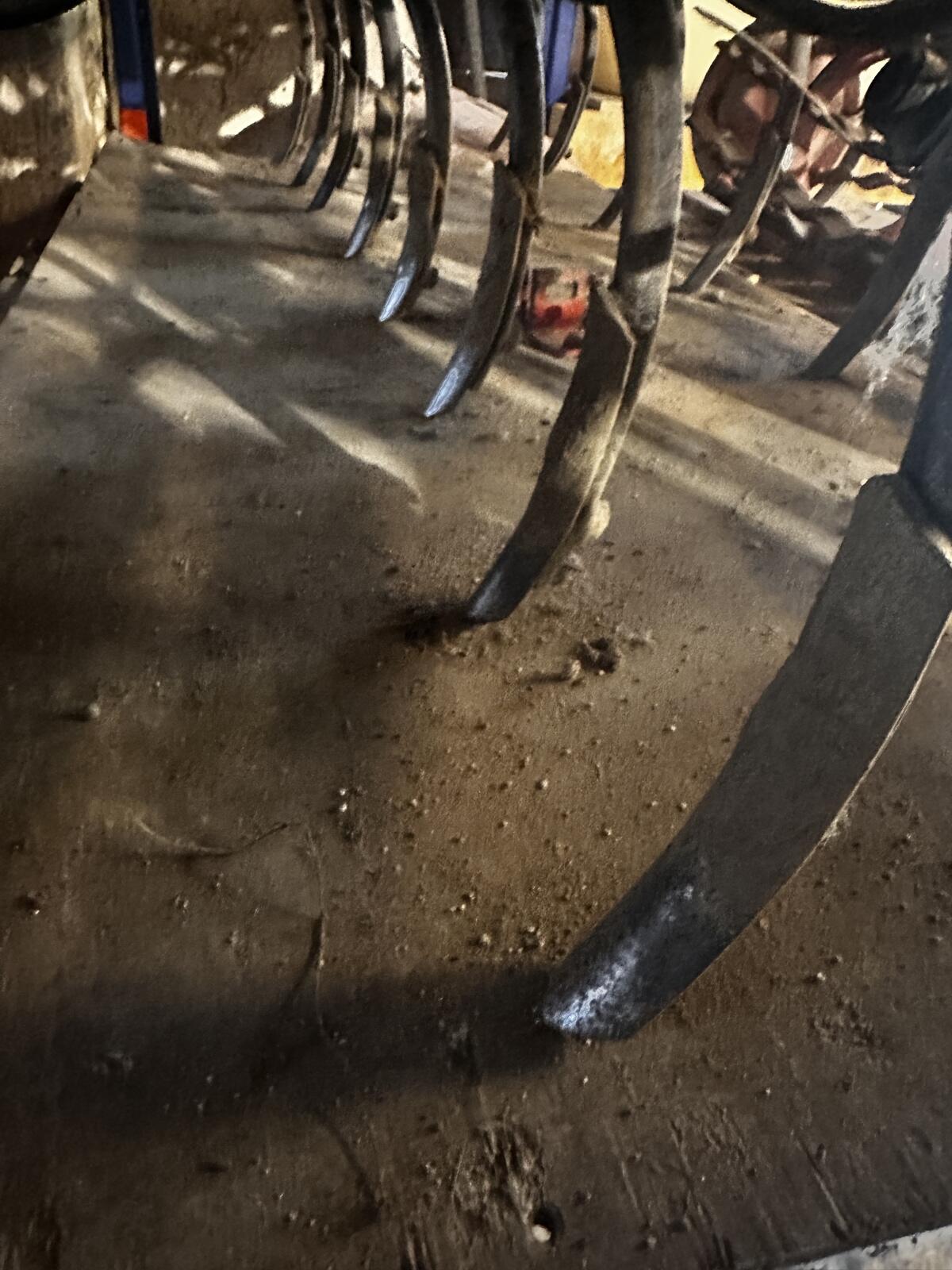 Federzinkenegge Regent 3