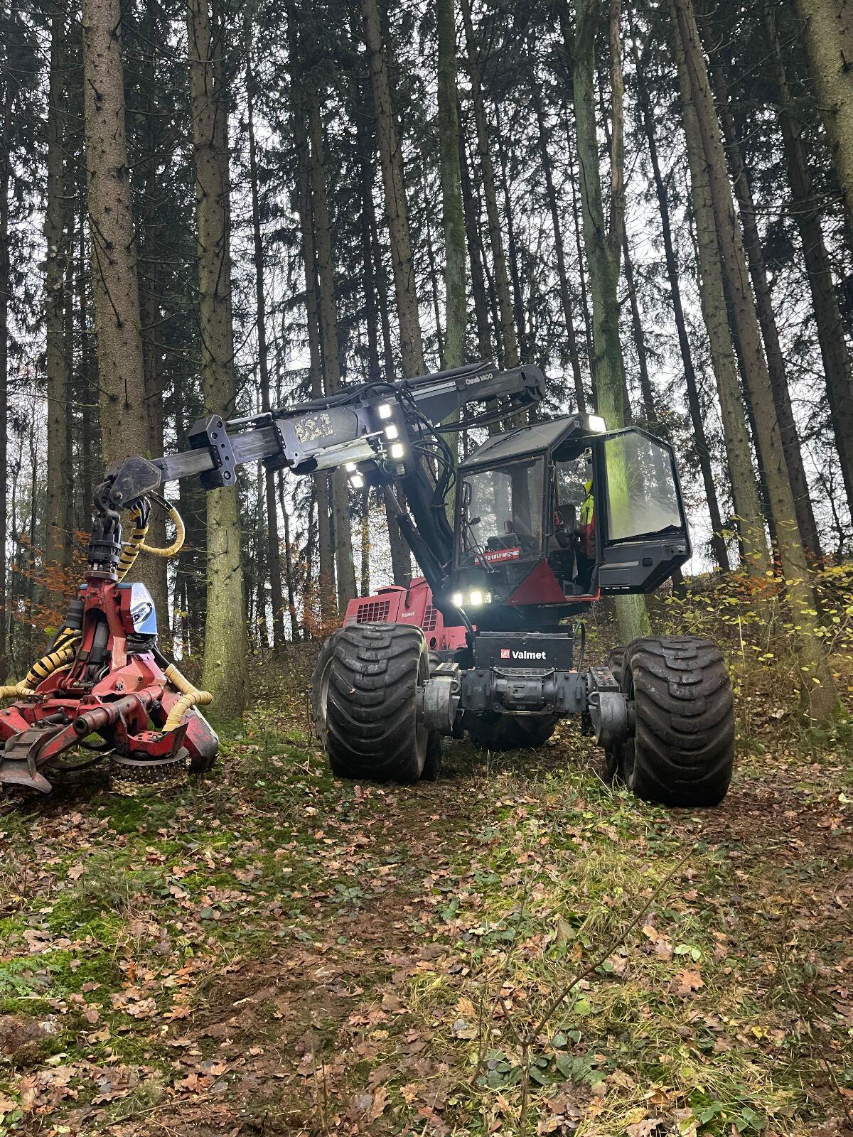 Holzschlägerung, Bringung, Brennholz, Energieholz 2