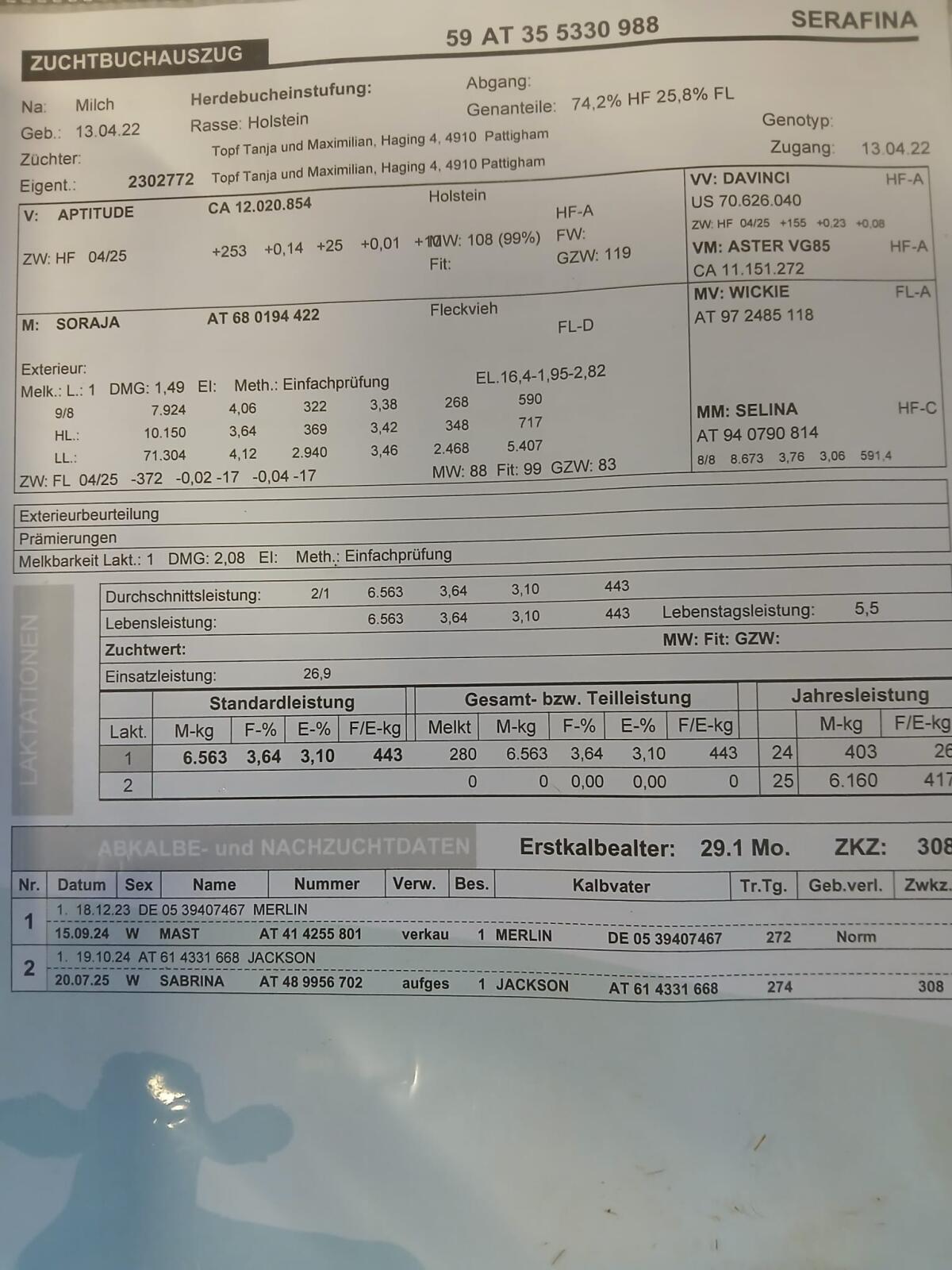 BIO-Kuh 2. Laktation 3