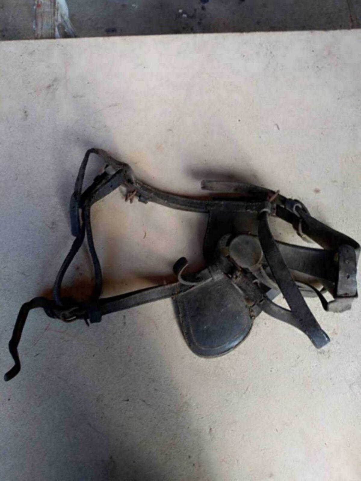 Pferdegeschirr und Kummet zu verkaufen 3