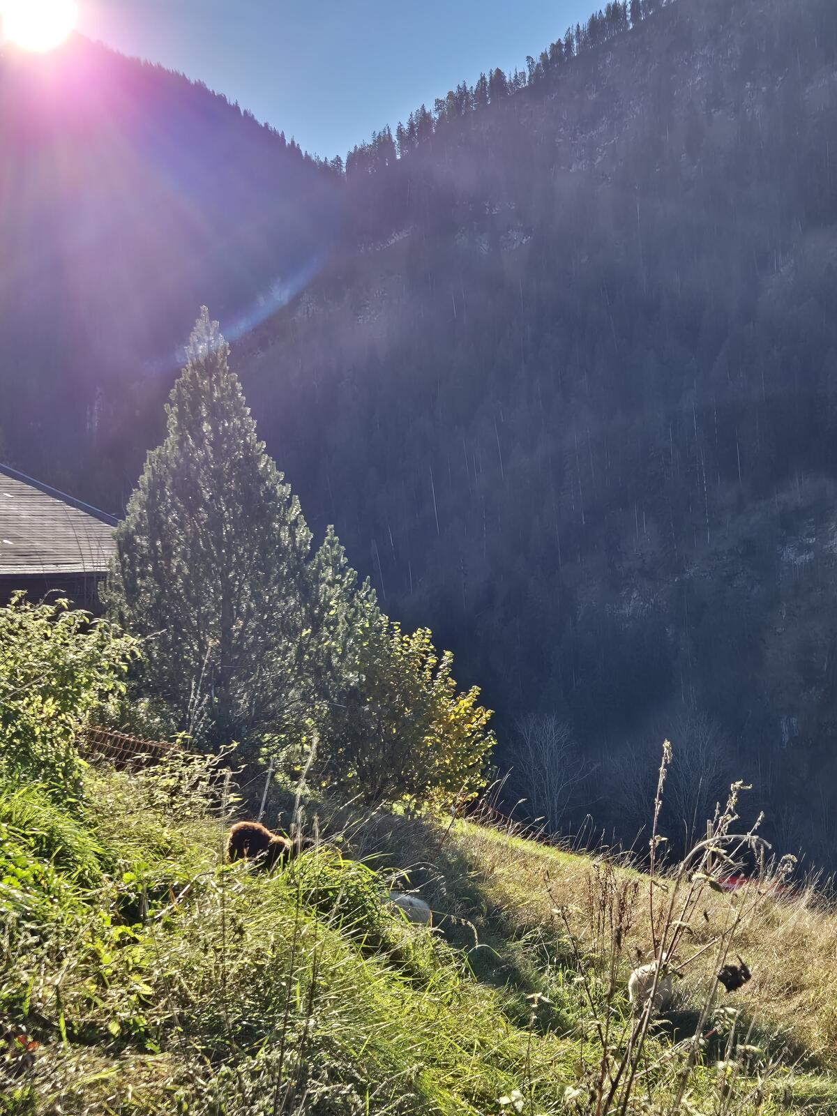Einstellplatz zu vergeben 1