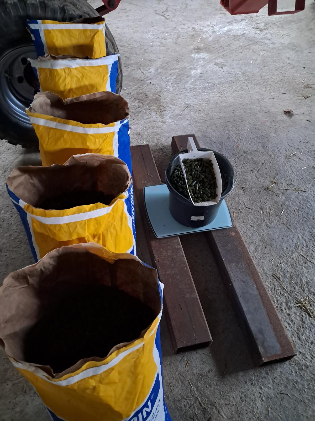 Grascobs Ernte 2024 2