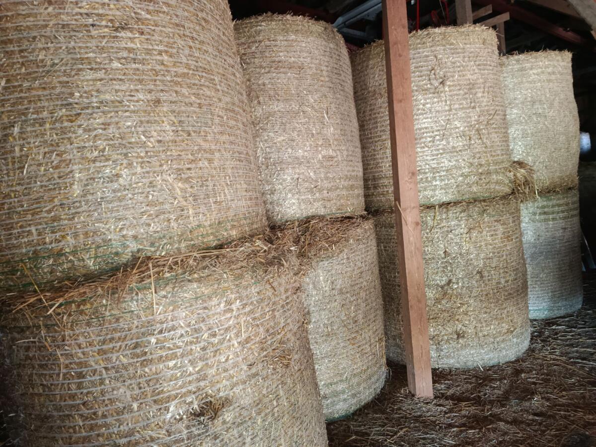 Haferstrohballen 1