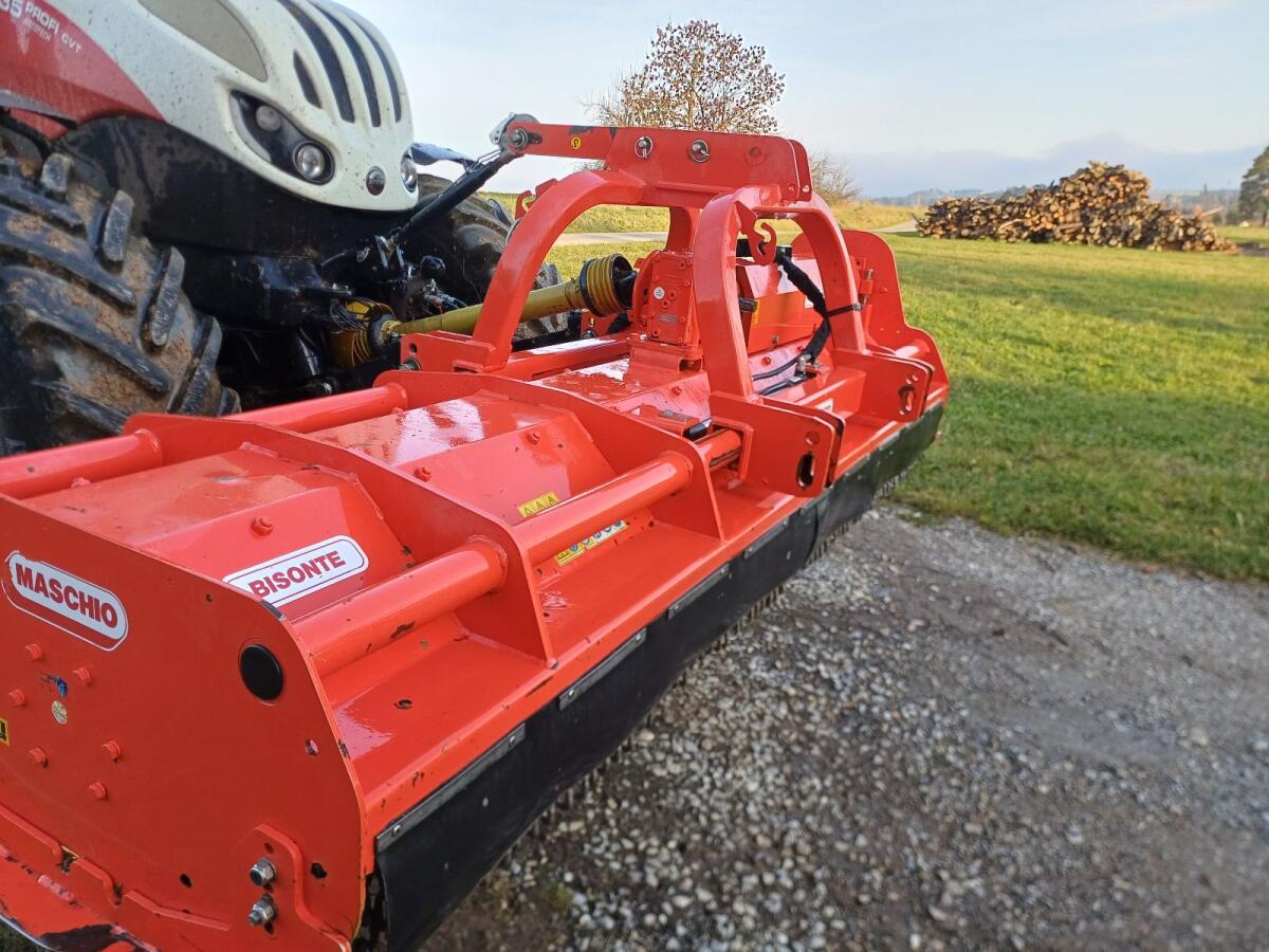 Mulcher Maschio Bisonte 300 3