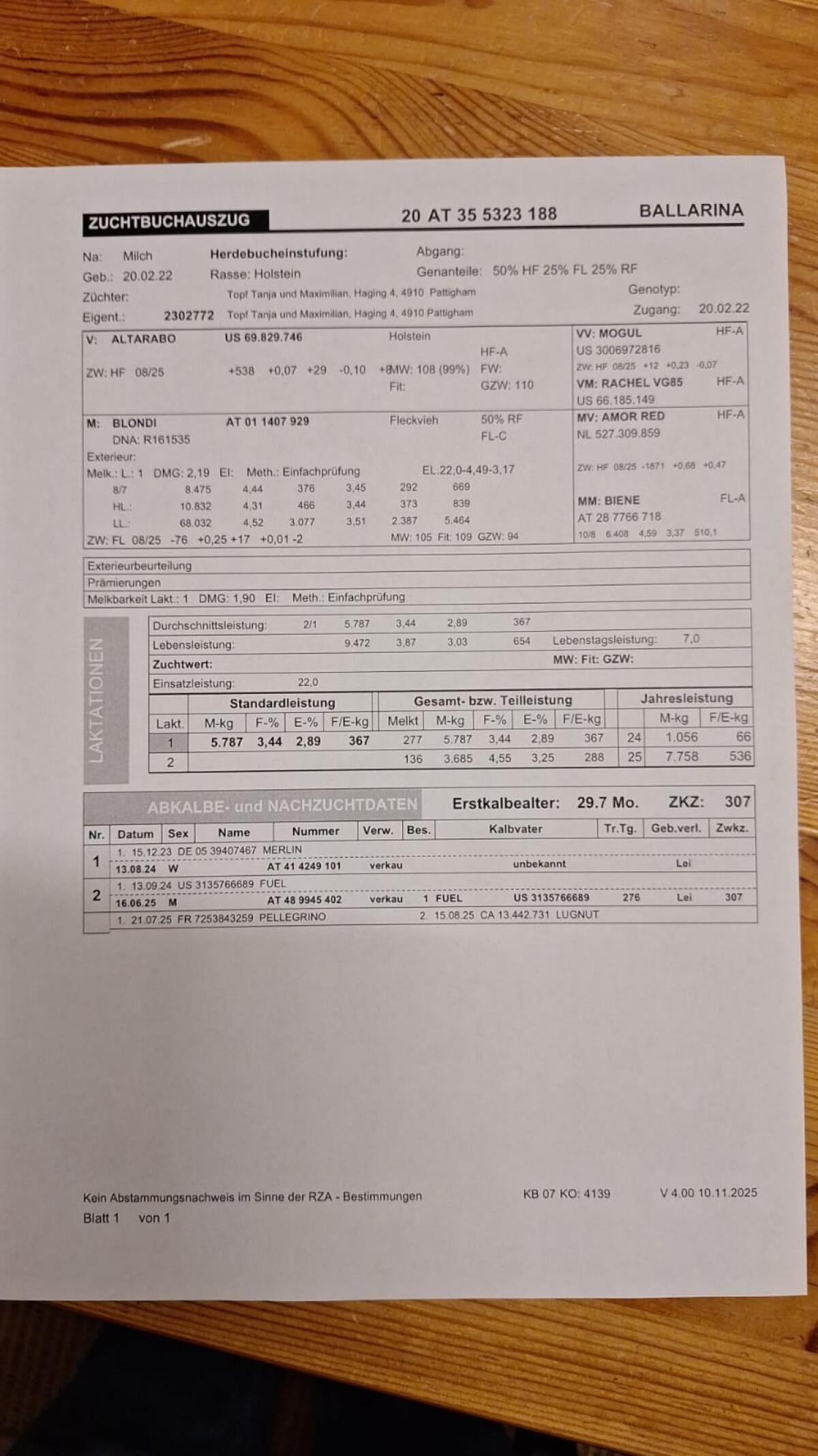 BIO Kuh in 2. Laktation 3