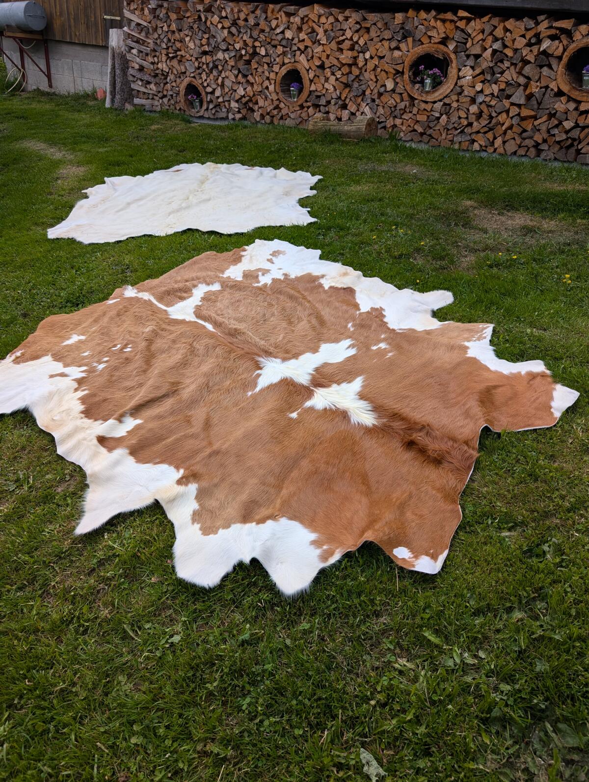 Fell aus Hinterwälder Rind 2