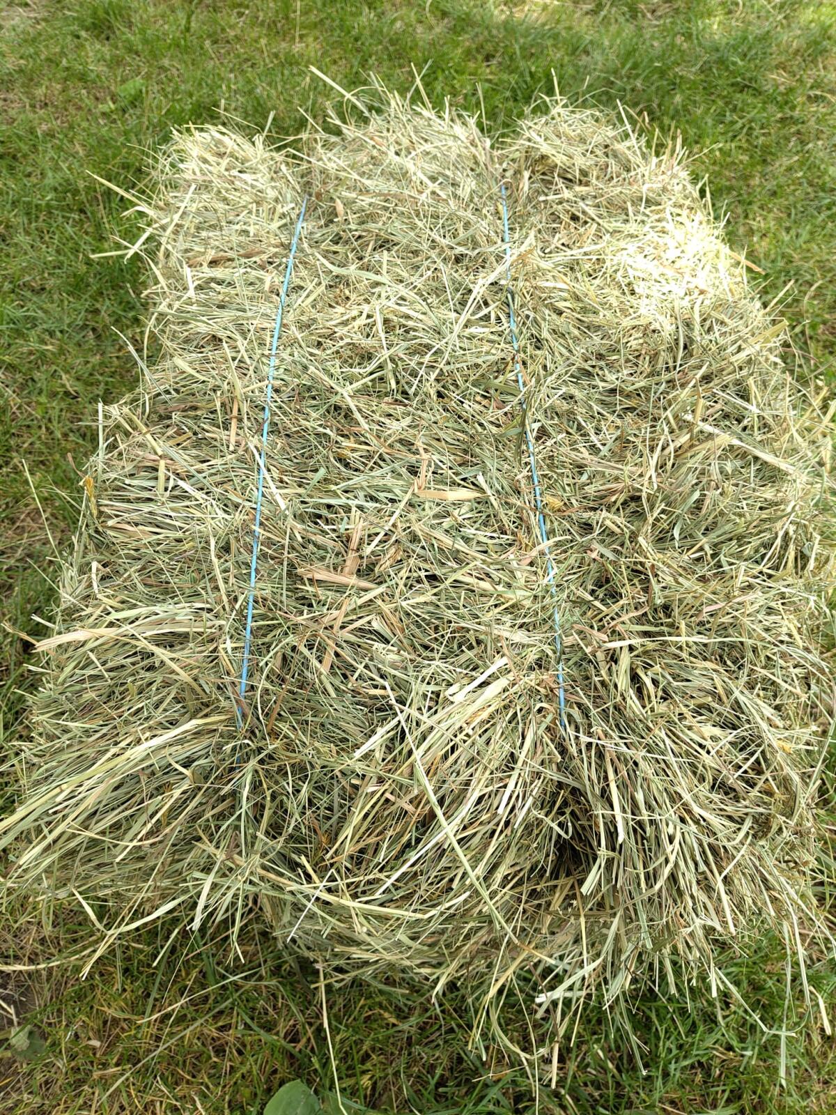 Wiesenheu, Weizen-/Gersten-Stroh, Luzerneheu in Kleinballen 1