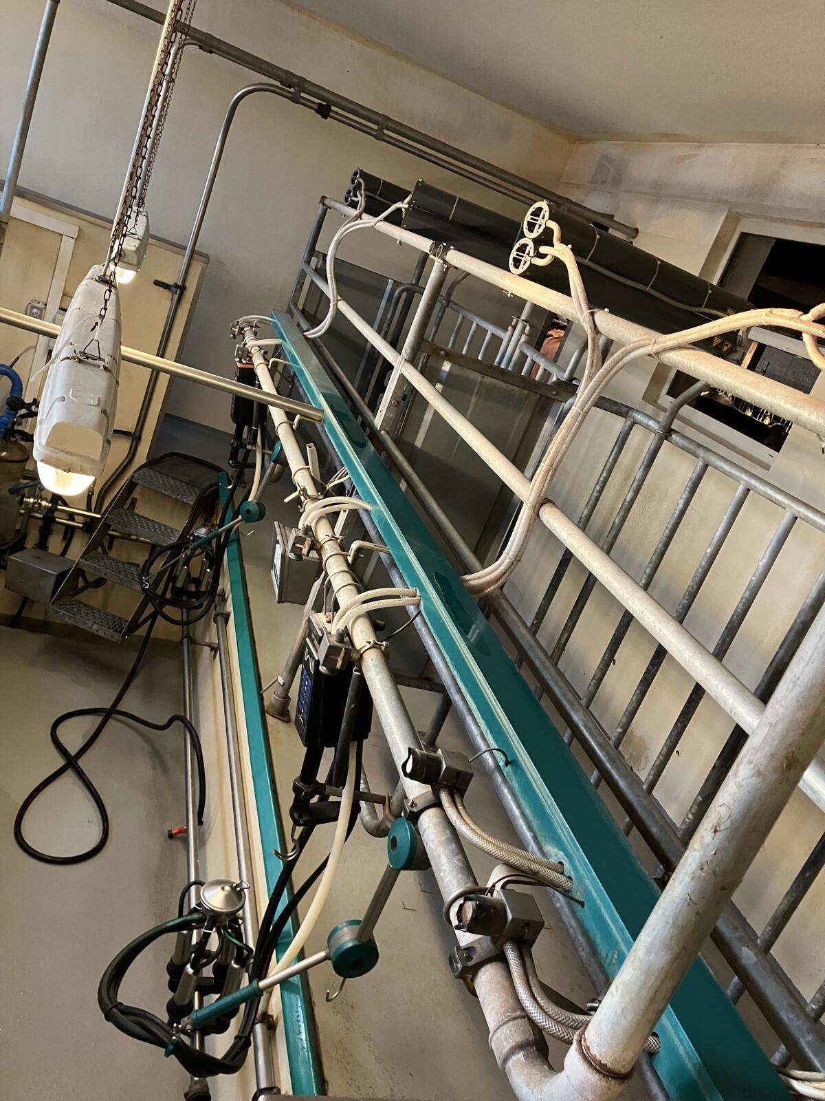 Melkstand 4er AutoTandem 2