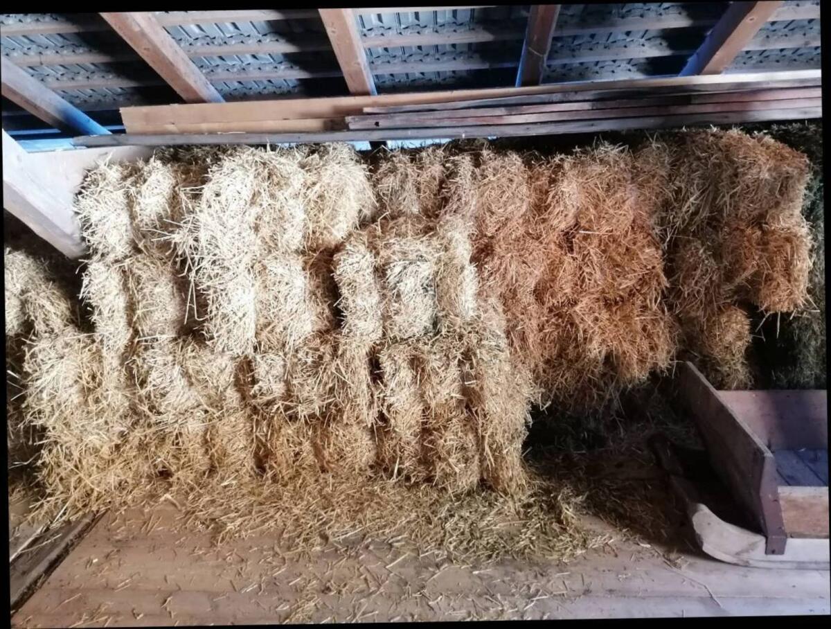 Verkaufe Kleinstrohballen Gerste 2