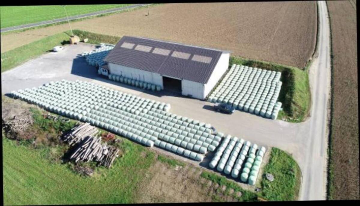 Silomais, Häckselmais, Maisballen 1