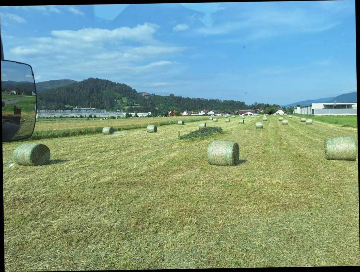 Bio Heuballen 1. Schnitt 2025 1