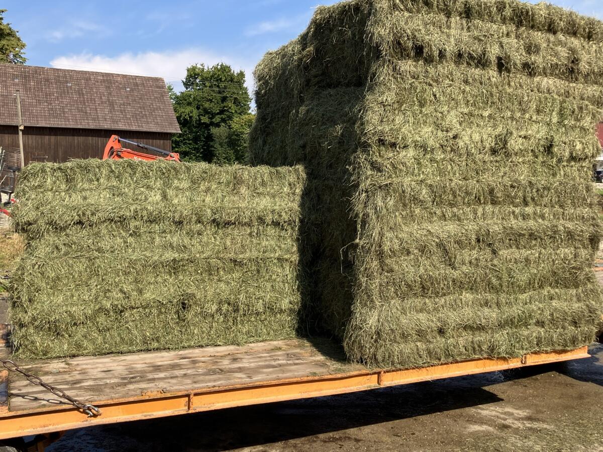 Heu, Grummet, Öhmd, Aumat, belüftet, 3. Schnitt, 4 Wochen 1