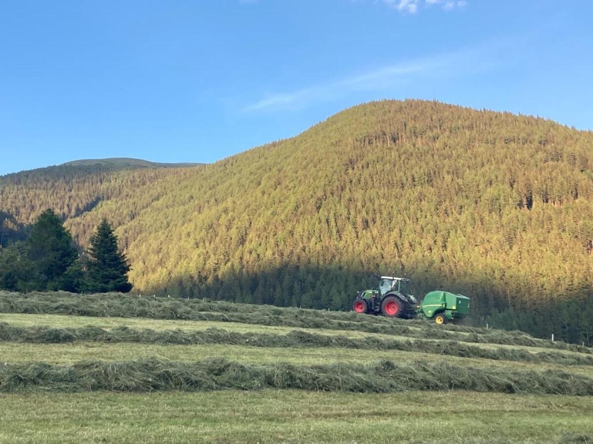 Praktikant für Sommer/Herbst 2026 gesucht 2