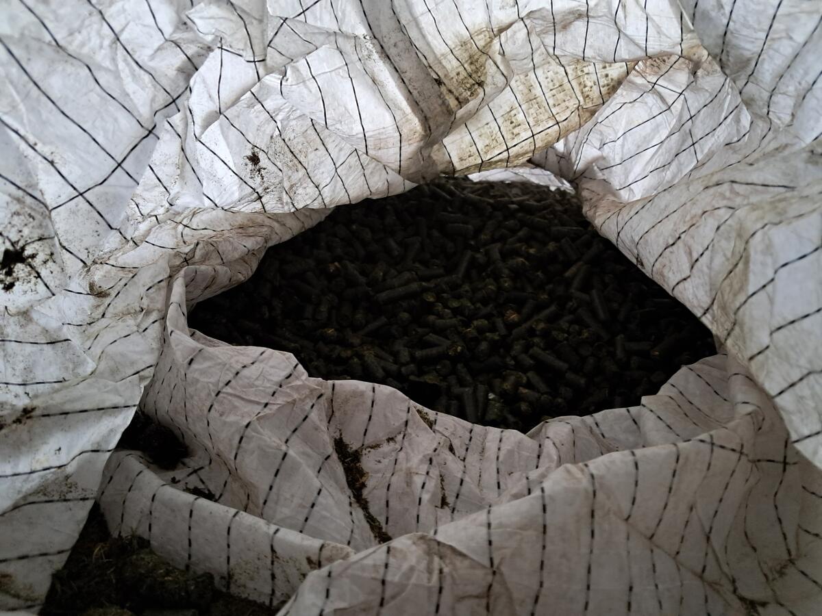 Grascobs Ernte 2024 3