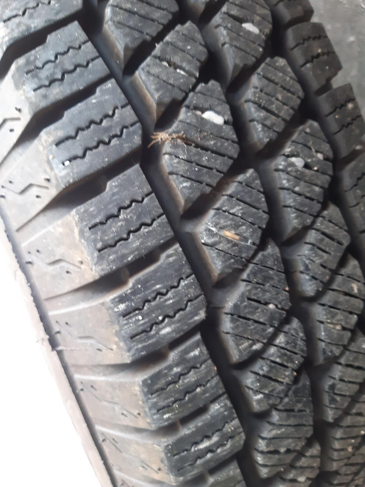 Pongratz Vieh-Pferdeanhänger 3