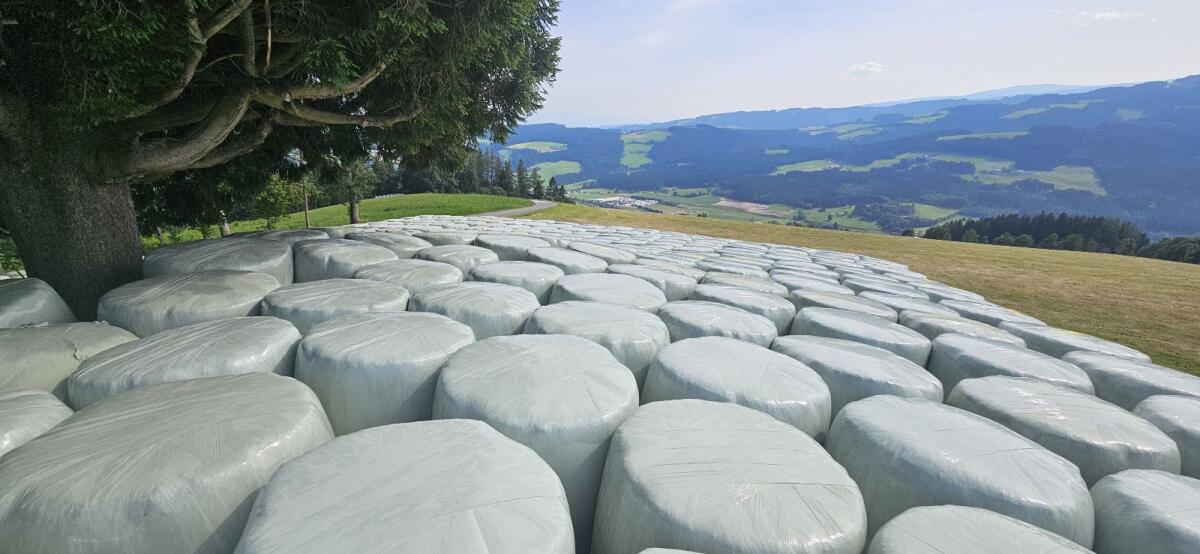 Heu und Siloballen 1