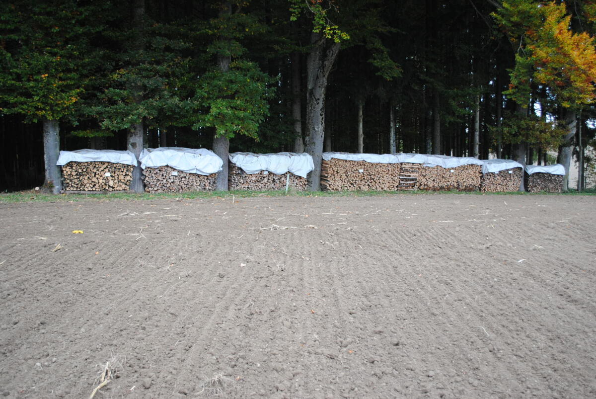 Brennholz 3
