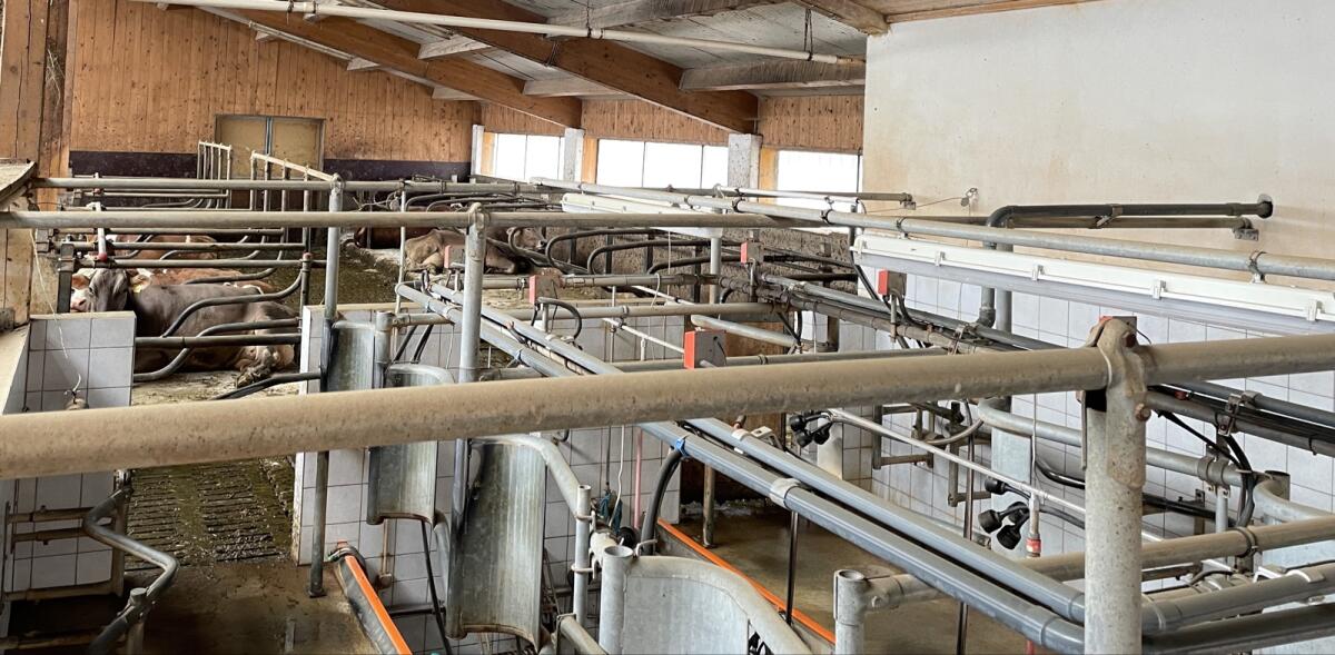 Melkstand Fischgräten 2x3 Happel DeLaval Westfalia Gea 2