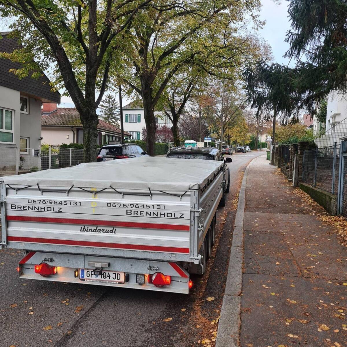 Brennholz Hartholz Esche, Eiche 2