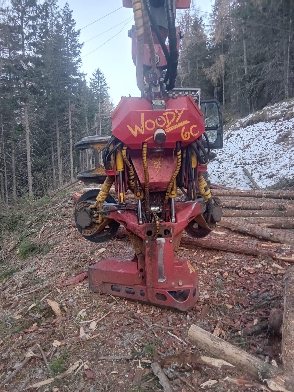 Prozessor Aggregat Woody 60 3