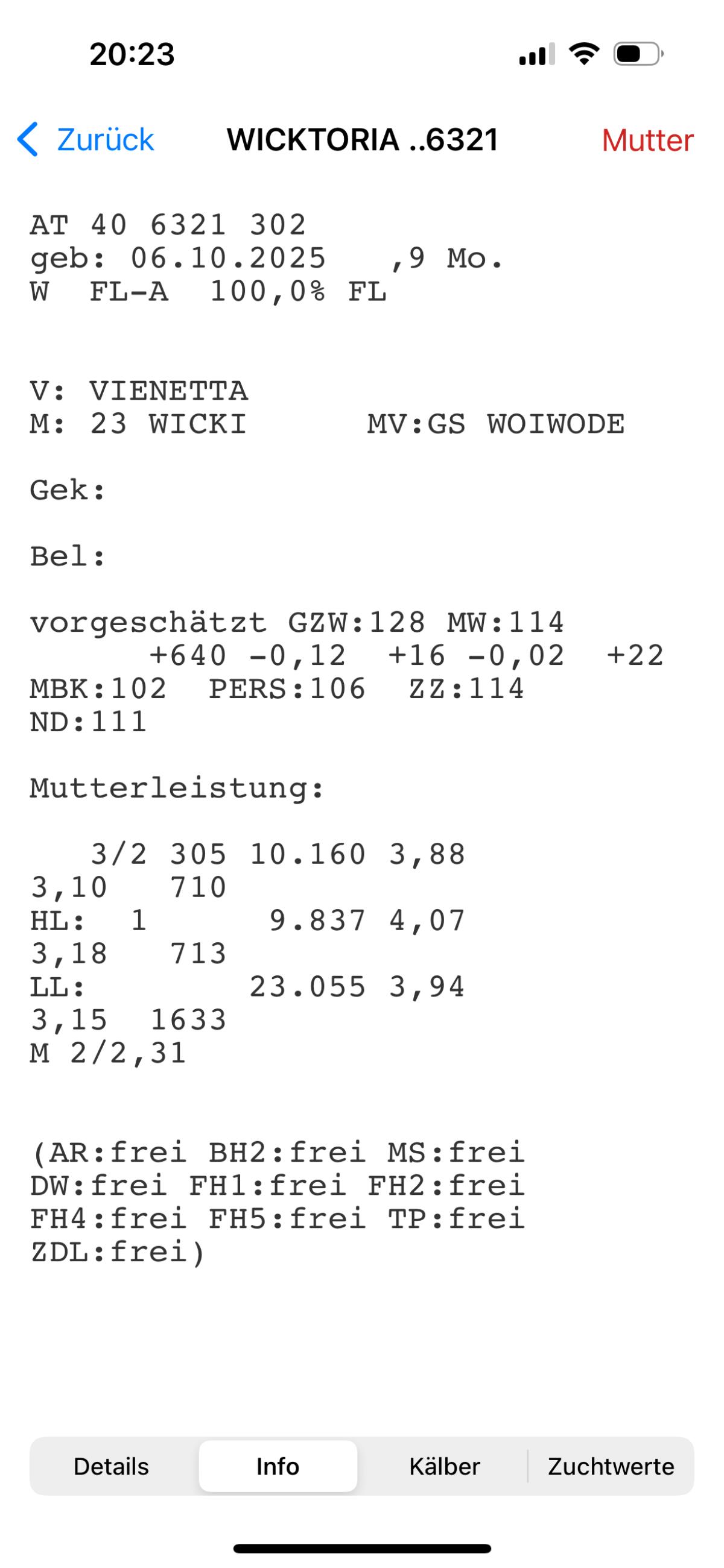 Zuchtkälber zu verkaufen 1