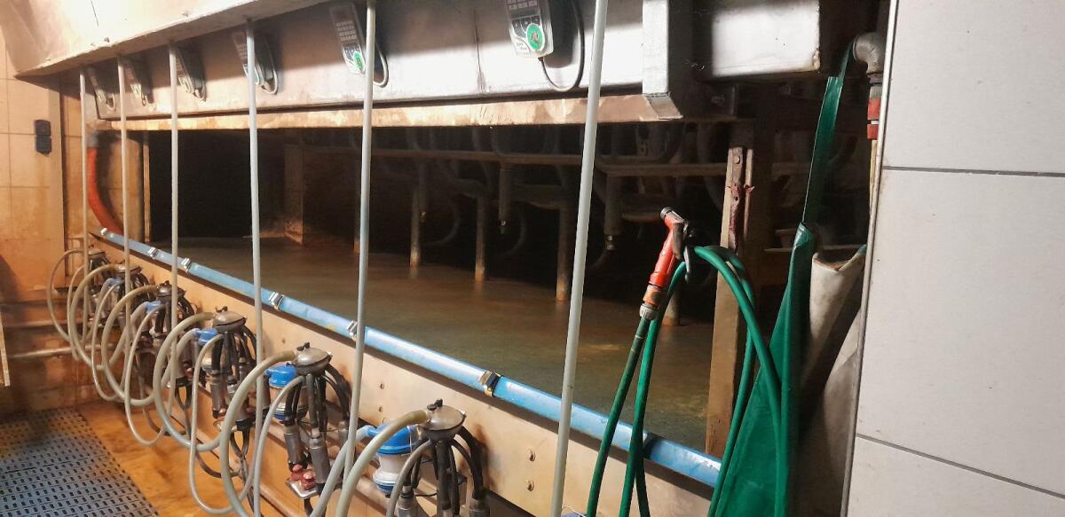 Melkstand LemmerFullwood Arizona Megaline 1