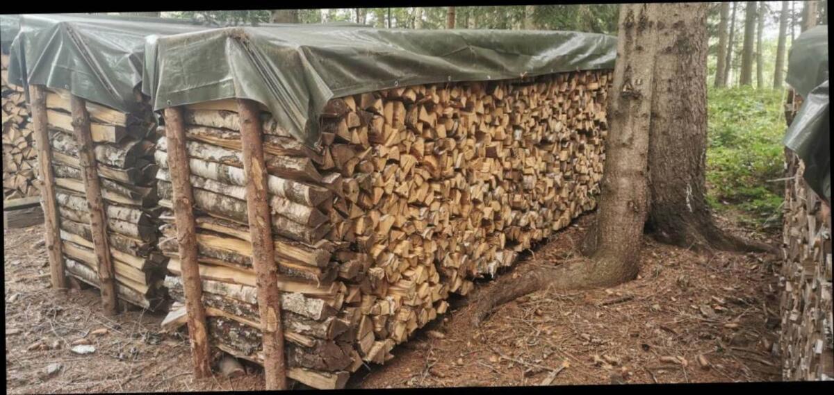 Brennholz, Kaminholz, Smokerholz Birke 2