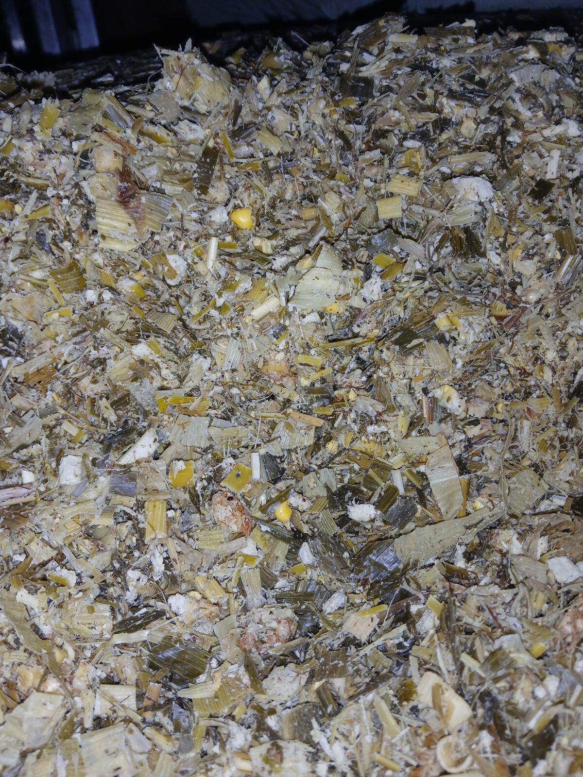 Bio Maissilageballen 2