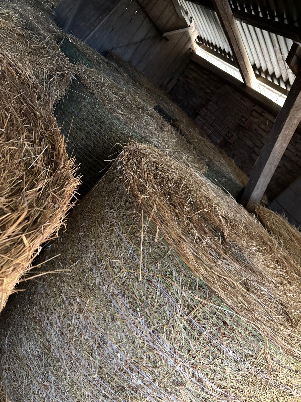 Heuballen zu verkaufen 3