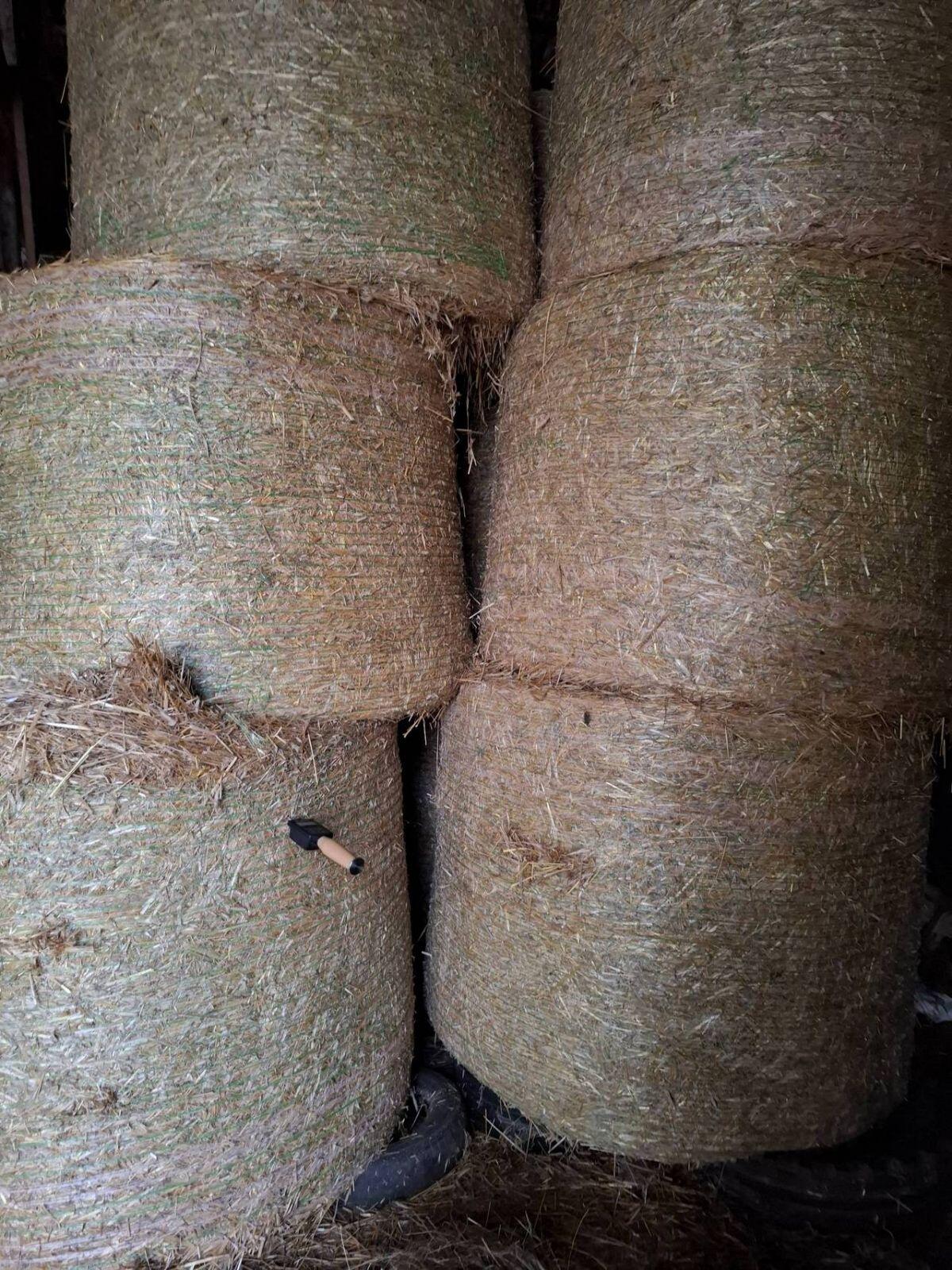 Stroh 1,5 m Rundballen 2